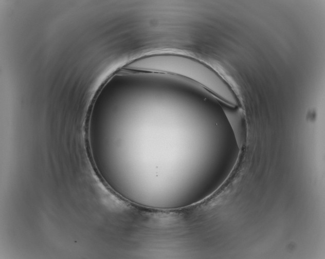 X0000091971189200709201358