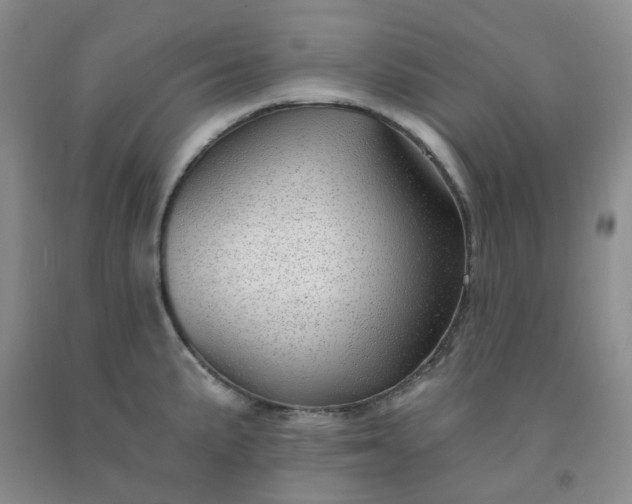 X0000091971191200709201358