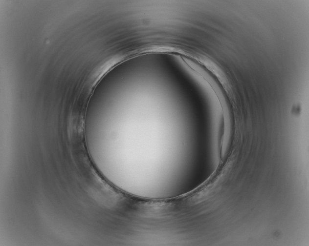 X0000091971193200709201358