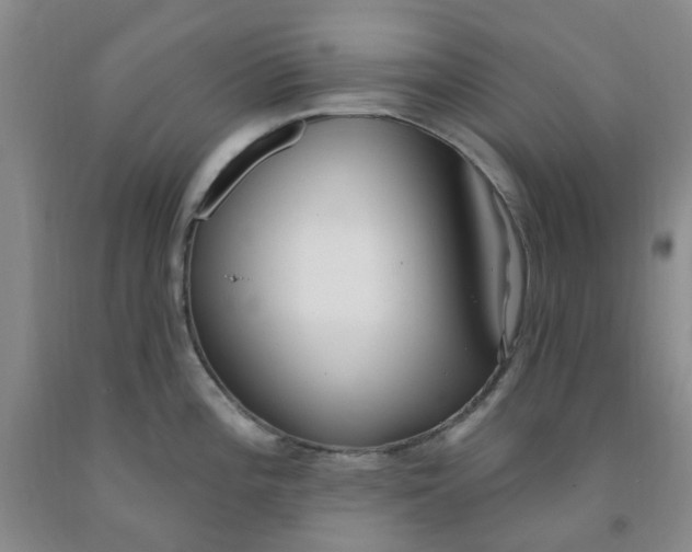 X0000091971196200709201358