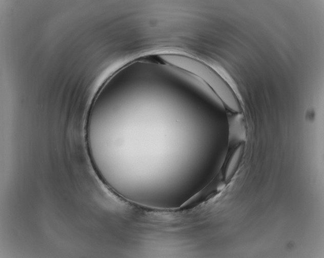 X0000091971197200709201358