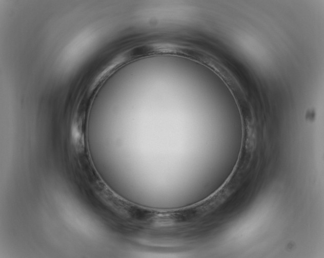 X0000091971198200709201358