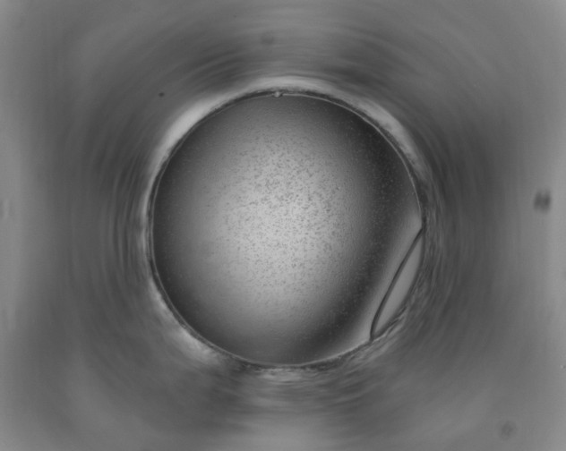 X0000091971199200709201358