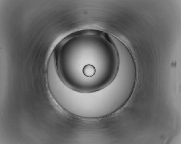 X0000091971200200709201358