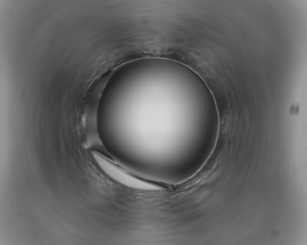 X0000091971202200709201358
