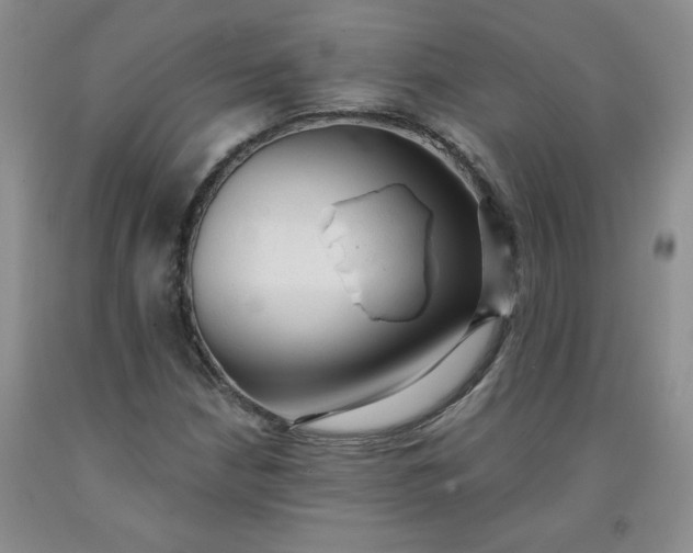 X0000091971210200709201358
