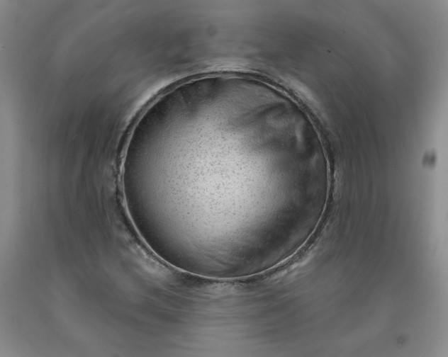 X0000091971212200709201358