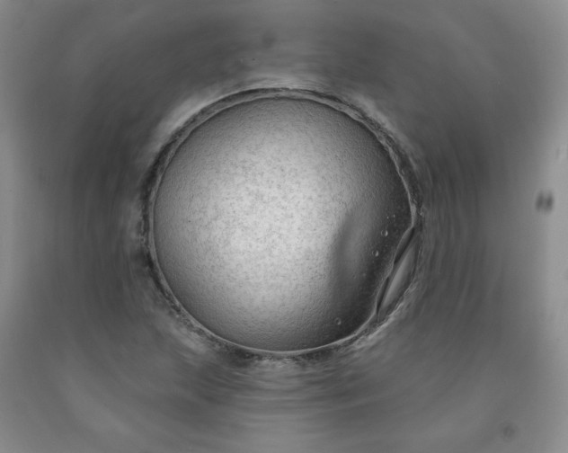 X0000091971215200709201358