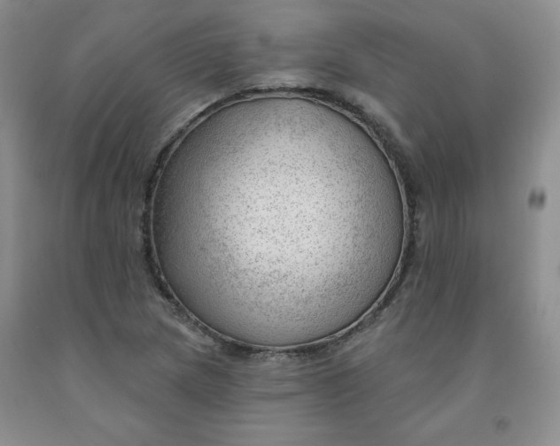 X0000091971217200709201358