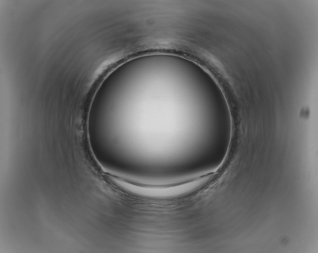 X0000091971218200709201358