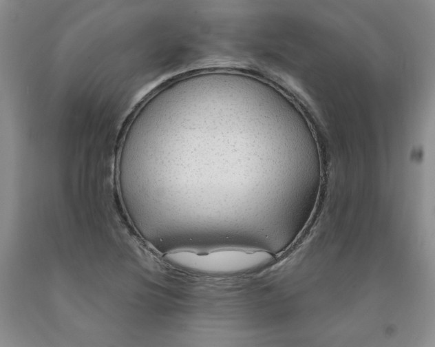 X0000091971220200709201358