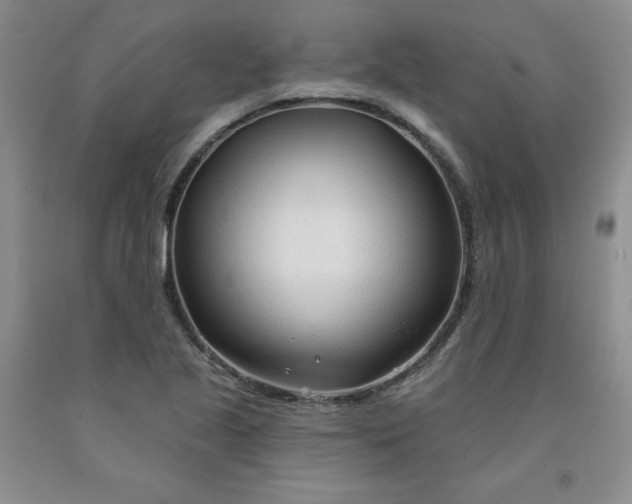 X0000091971221200709201358