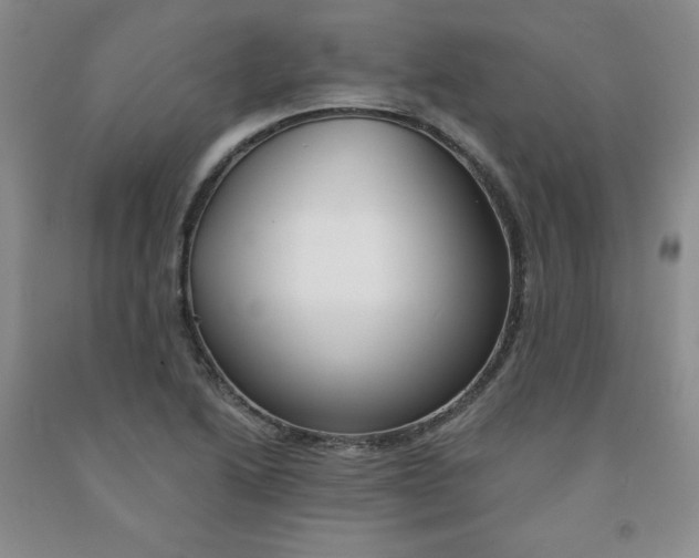 X0000091971222200709201358