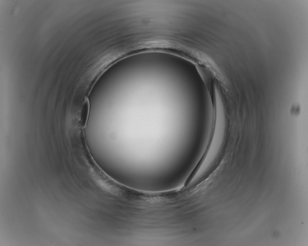 X0000091971225200709201358