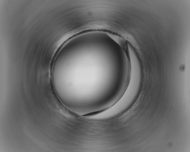 X0000091971226200709201358