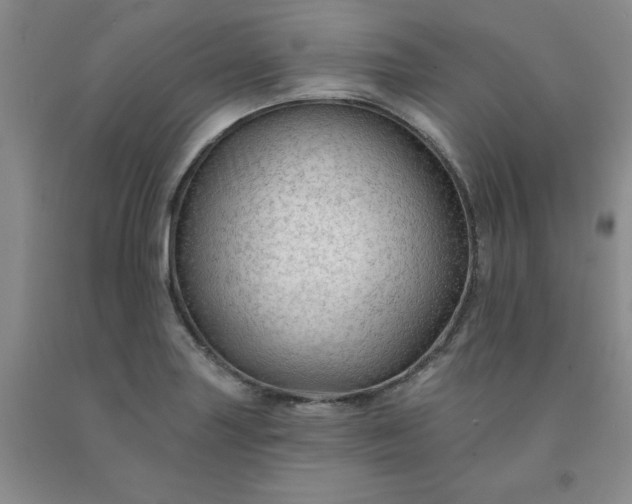 X0000091971227200709201358