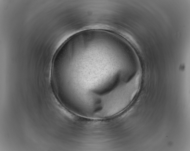 X0000091971228200709201358