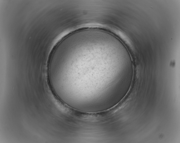 X0000091971229200709201358