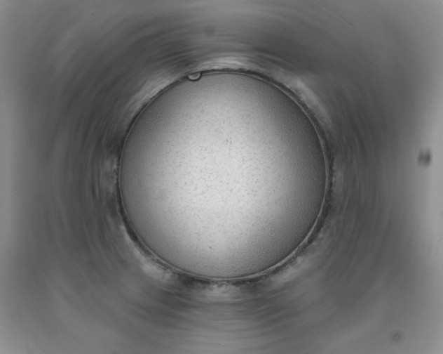 X0000091971233200709201358