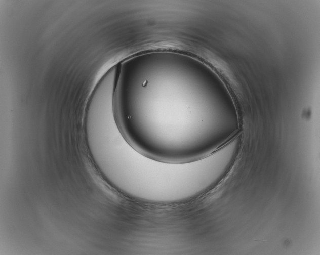 X0000091971234200709201358