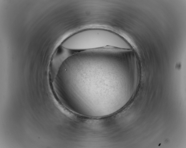 X0000091971237200709201358