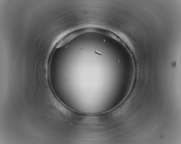 X0000091971238200709201358