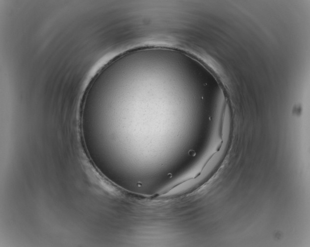 X0000091971240200709201358