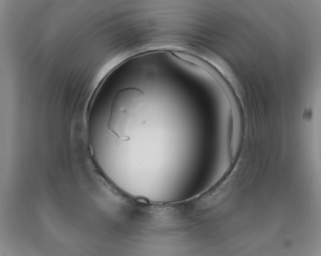 X0000091971242200709201358