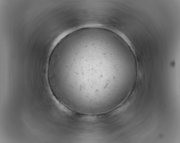 X0000091971245200709201358