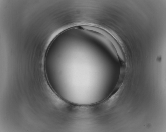 X0000091971246200709201358