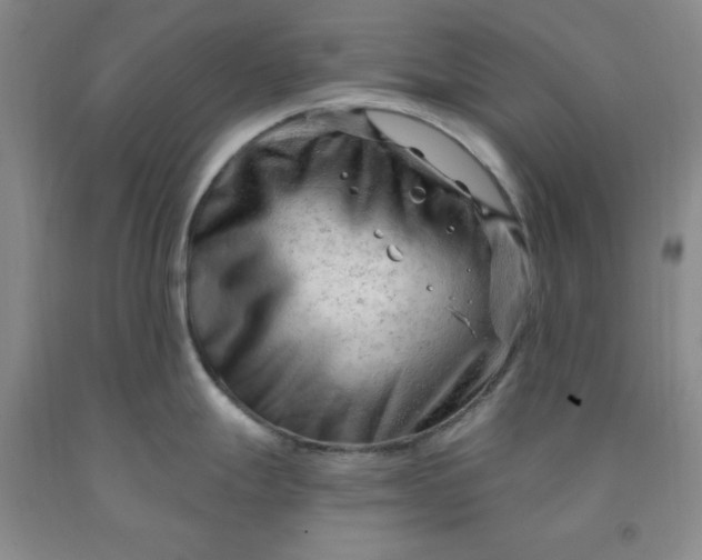X0000091971247200709201358