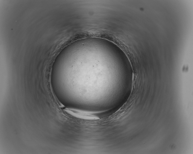 X0000091971249200709201358