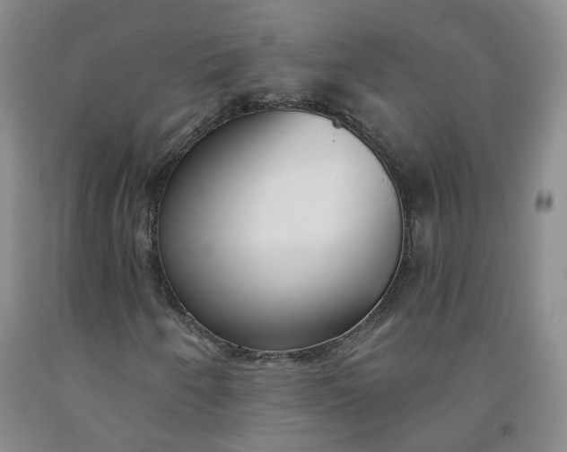 X0000091971250200709201358