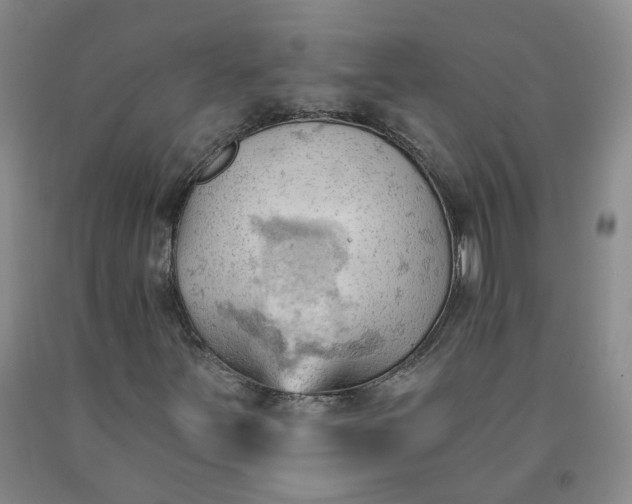 X0000091971251200709201358