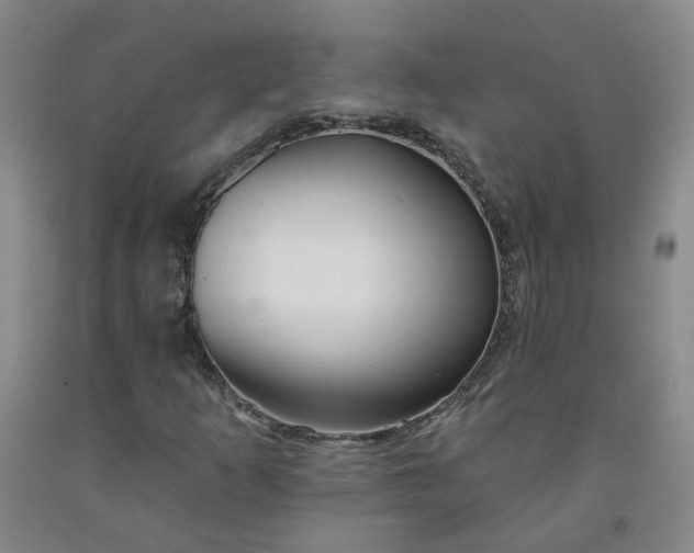 X0000091971253200709201357