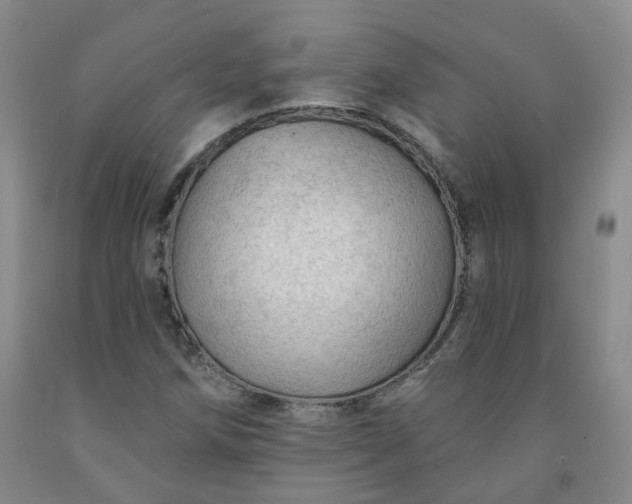 X0000091971258200709201357