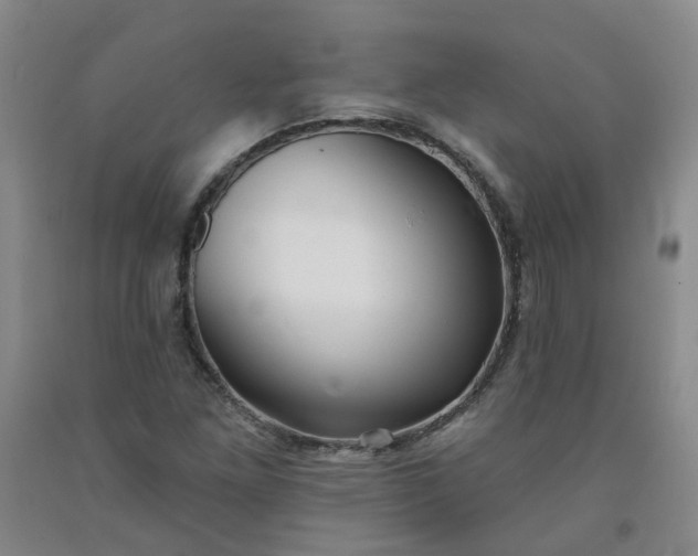 X0000091971261200709201357