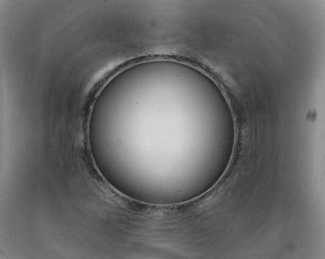 X0000091971262200709201357