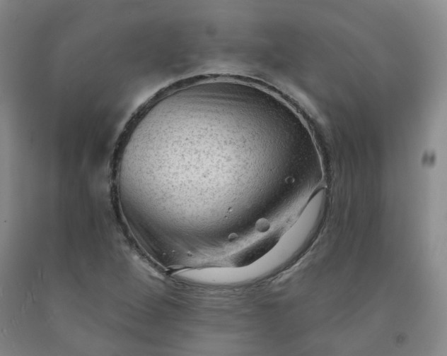 X0000091971264200709201357