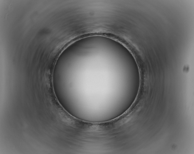 X0000091971265200709201357
