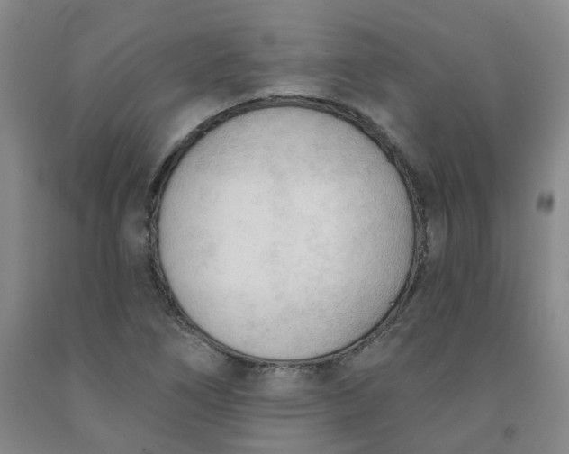 X0000091971266200709201357