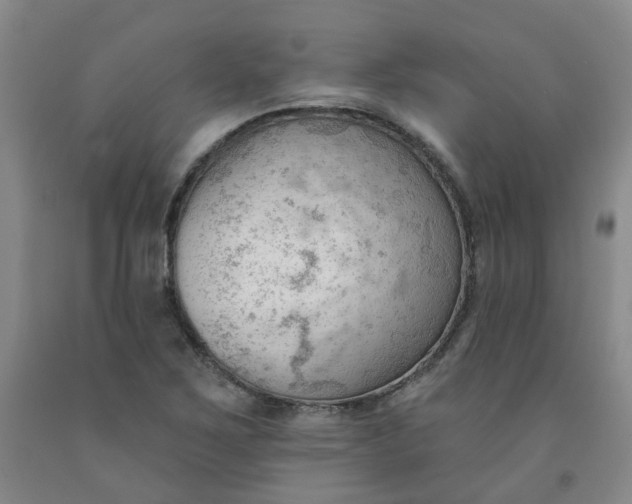 X0000091971267200709201357
