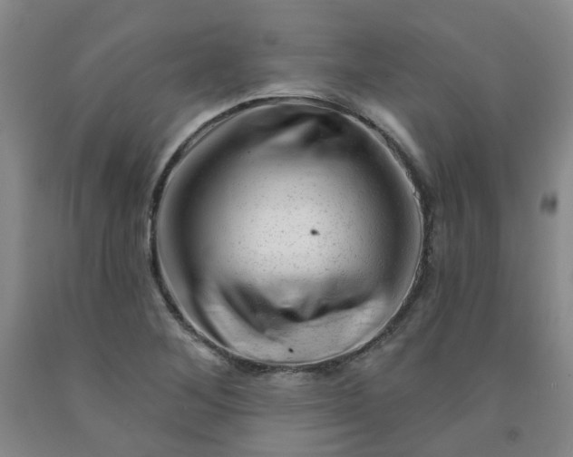 X0000091971268200709201357