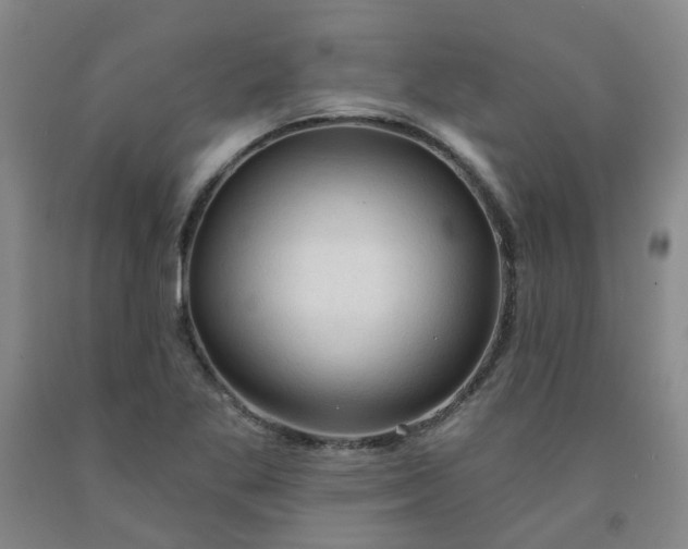 X0000091971269200709201357