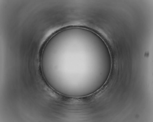 X0000091971270200709201357