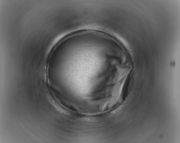 X0000091971272200709201357