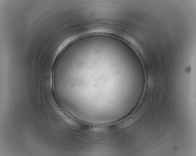 X0000091971274200709201357