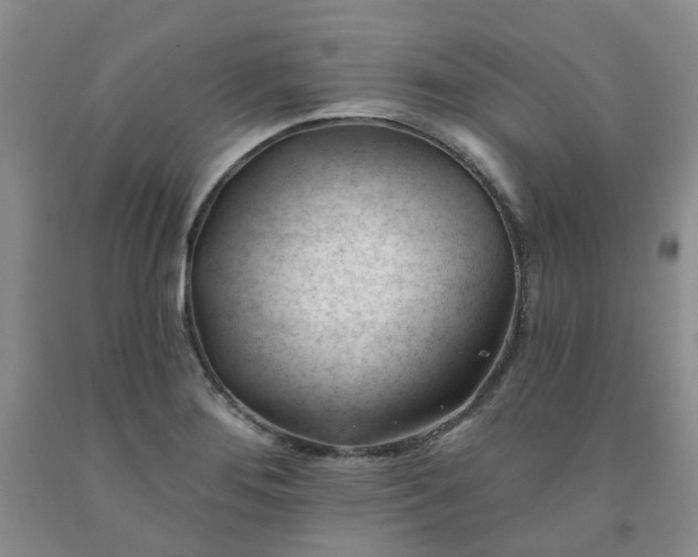 X0000091971276200709201357
