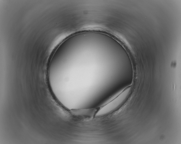 X0000091971277200709201357