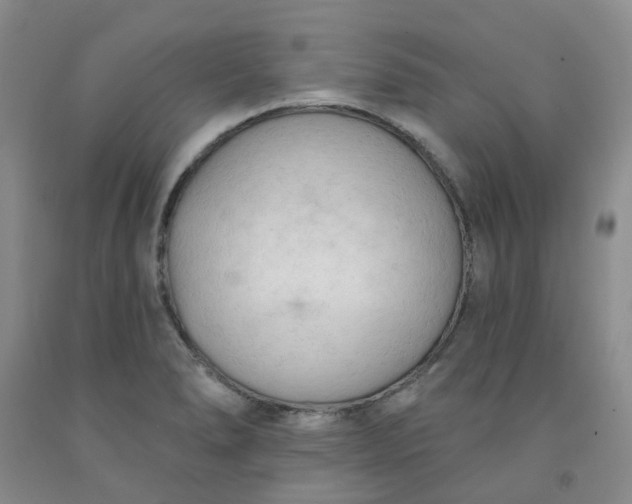 X0000091971278200709201357